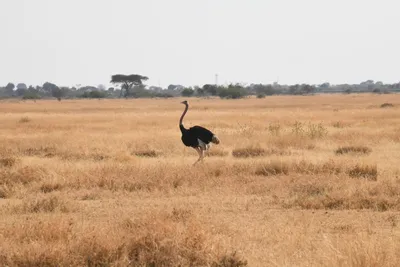 DSC_4125 (Large).JPG